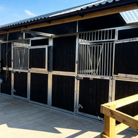 Box à chevaux galvanisé économique pour l'extérieur, écurie préfabriquée robuste, abri pour chevaux