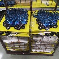 Étiquettes de bouteille de vin LED lumineuses personnalisées, colorées, imperméables, EL, pour soirées en boîte de nuit, avec des thèmes d'Halloween et de Noël