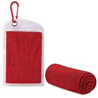 Serviette de sport rafraîchissante instantanée en microfibre avec logo personnalisé par sublimation, pour la gym, le sport et les activités extérieures, avec bouteille