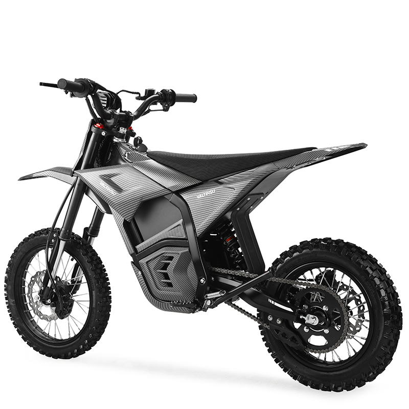 Valtinsu Em5 Dirk Bike 48V2500W Geared