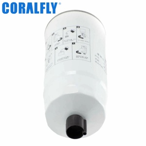R010042 612630080203 Filtre à carburant pour camion FS36210 BF1375 1094176300 5289992 5402705 - Product Image 3
