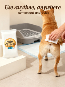 OEM ODM Papier toilette humide pour animaux de compagnie, chiens et chats, jetable, nettoyage en profondeur sans rinçage, fibres, paquet de 12 pièces - Product Image 5