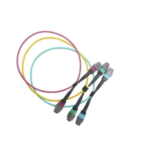 Polarity MPO/MTP Cable 0.9/2.0/3.0mm OS2 MM MPO/MTP Fiber Connector Patch Cord