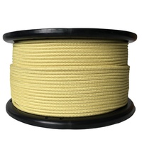 Cordon de sécurité ignifuge et ignifuge de corde de fibre d'aramide de la Chine pour la lutte contre l'incendie et le camping tressé et ignifuge