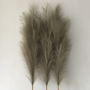 Plante naturelle soie pompon herbe fleur moelleuse grande herbe de pampa artificielle <span class=keywords><strong>pour</strong></span> mariage sol vase maison salon décor - Product Image 5