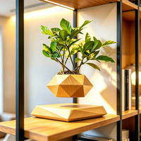 Maceta Flotante Magnética Moderna para Decoración de Escritorio, Regalo Tecnológico para Plantas