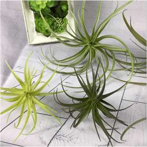 Planta Artificial Personalizada en Maceta Grande, Decoración de Pared Artificial, Artículos de Decoración para el Hogar, Bonsái Barato, Plantas Ornamentales para Dormitorio - Product Image 5