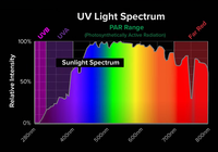 La barre UV UVB 30W Bavagreen Seoul 310nm provoque plus de ramification et moins d'étirement Uv Booster lm Smartbar