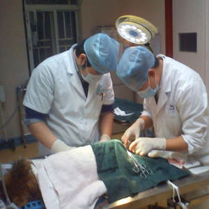 अस्पताल क्लिनिक समायोज्य पोर्टेबल फ्लोर स्टैंड परीक्षा के नेतृत्व में पशु चिकित्सा ऑपरेशन लाइट मोबाइल वेट लैंप - Product Image 6