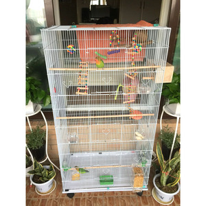 Papağanlar için büyük ferforje kuş kafesi, depolama rafı ile haddeleme <span class=keywords><strong>stand</strong></span>ı, ayrılabilir besleyici kutular-kolay temiz kuş evi - Product Image 4