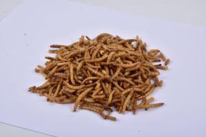 תולעי בשר מיובשות בתפזורת לכלבים תרנגולות ציפורים חיות מחמד קטנות - Product Image 4