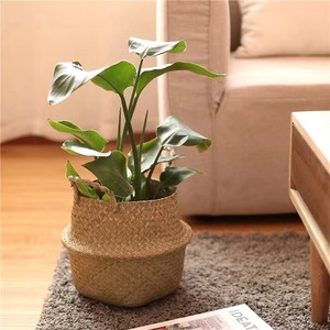 [Personnalisation disponible] Panier à plantes portable, panier à plantes tissé vert, pot imperméable pour salon et balcon - Product Image 3
