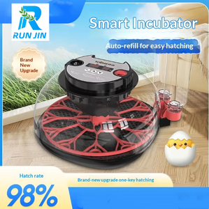 Incubateur d'œufs automatique 12 places pour volailles d'extérieur, <span class=keywords><strong>couveuse</strong></span> pour œufs de caille et de canaris - Product Image 3