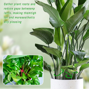 Support de tige de plante en plastique pour fixer les tiges de fleurs, organisateur de plantes de jardin - Product Image 2