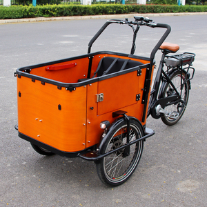จักรยานไฟฟ้าสามล้อ City Ebike Trike CE 250W 500W สำหรับบรรทุกสินค้า จักรยานบรรทุกไฟฟ้า จักรยานสามล้อไฟฟ้าพร้อมกล่องบรรทุก จักรยานสามล้อบรรทุก - Product Image 1