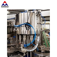 Machine de remplissage et d'embouteillage de boissons gazeuses et de soda 6000BPH 500ML A-Z pour fabricants