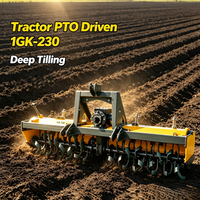 Motoculteur rotatif 1GK-230 à performance stable pour riz et blé, outil de travail du sol agricole DTNJ