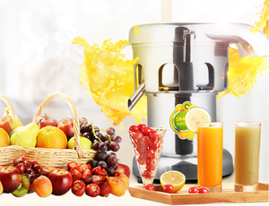 Pour blender électrique avec moteur 550W en acier inoxydable 15KG pour pomme, orange, citron et fruits - Product Image 6