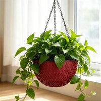 Pot suspendu double de luxe traditionnel à arrosage automatique avec trous de drainage 2,56 L en PP durable pour intérieur/extérieur
