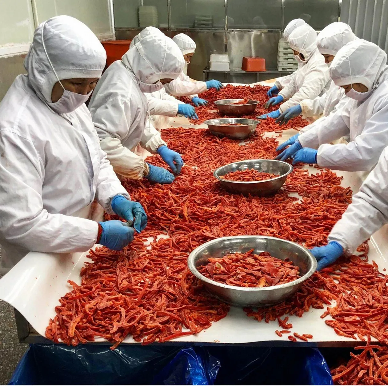 Vente directe des fabricants Guangye Premium Légumes IQF Export Haute Qualité Dés Rouges Poivrons Congelés