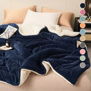 <span class=keywords><strong>Manta</strong></span> de felpa de cordero gruesa de doble capa, mantas de lana de felpa para cama, sofá, Mantas cálidas, colcha - Product Image 1