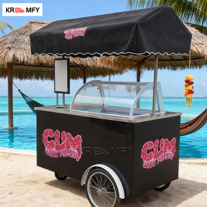 REALLY Gelato Ice Cream Vending Machine Display Freezer Italian Popsicle Electric Cargo Coffee Bike Fiberglass Brushless Motor - Product Image 3