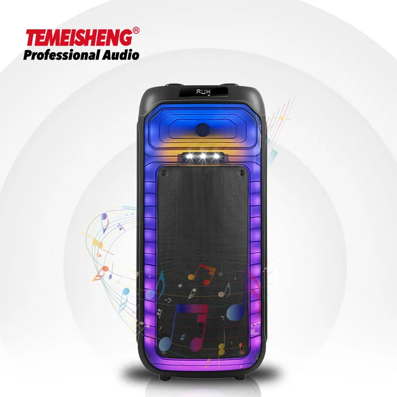 Temeisheng 2023 New Arrival High Power Dual 8 Inch subwoofer big power Home Karaoke speaker Outdoor Wireless Blue Tooth Speaker