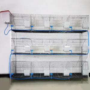 Animal Cage 3 Layers 12 Cells Commercial Hot Galvanized Rabbit Breeding Cages In Cote d'Ivoire