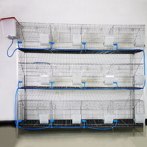 Cage pour animaux 3 couches 12 cellules Cages commerciales galvanisées <span class=keywords><strong>à</strong></span> chaud pour l'élevage de lapins en Côte d'Ivoire - Product Image 1