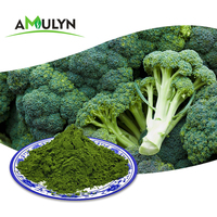 Extrait de brocoli pur à base de plantes, poudre de pousses de brocoli séchée par pulvérisation