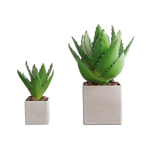 Plantas Artificiales Realistas de <span class=keywords><strong>Aloe</strong></span> <span class=keywords><strong>Vera</strong></span> en Macetas de Cemento, Pequeñas Suculentas Artificiales para Decoración de Hogar, Oficina, Escritorio, Estante, Bonsái Minimalista - Product Image 6