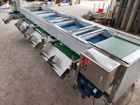 Industriële Blauwe Bes Sorteermachine van RVS, Hoge Efficiëntie, Capaciteit 500-1000kg/u, voor het sorteren van bosbessen en blauwe bessen