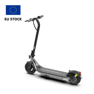 Eu-Warenlager 250 W 350 W Selbstausrichtende Elektroroller für Erwachsene 10 Zoll zweirad zusammenklappbarer Erwachsenen-Elektro-Scooter