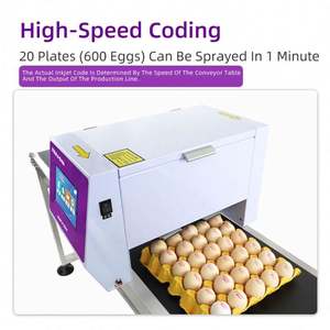 Impresora de Huevos de Gallina de Inyección de Tinta HD Totalmente Automática, Seis Boquillas, 600 DPI, Nueva Condición, Tinta Ecológica para Aplicación en Etiquetas de Ropa - Product Image 3