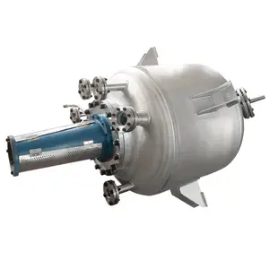 Reactor de mezcla CSTR de acero inoxidable China 750L con sello mecánico y sistema de filtración para alcohol metílico medio