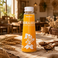 Groothandel Yacon Wortelsap Ginseng Gember Essentie Natuurlijke Smaak Suiker Vrij Zonder Conserveermiddelen 280ml Enkel Fles