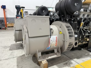 Grupo Electrógeno Silencioso TPE-12KS ~ TPE-35KS de 12kw-35kw con Certificación CE, Trifásico, para Uso en Exteriores TPE-12KS ~ TPE-35KS TP - Product Image 5