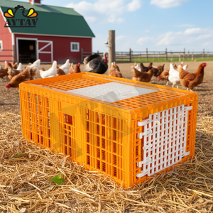 Top Side Door Chicken Transport Coop for Chicken Turkey Chick <b>Plastic</b> AYTAV Live Bird Handling Poultry Farm Transport Equipment - Product Image 3