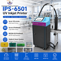 IPS-6501 산업용 전기 PIJ UV 잉크젯 프린터 RICOH G5 600 DPI 54.1mm 고해상도 피에조 잉크젯 프린터 고정밀