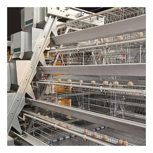 Good Price H Type Automatic Egg Layer Chicken Farm Laying Hens Poultry Battery Cages For Sale