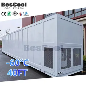 -85/-60 Degree Walk-In Cooler with 50/70/100/120mm Panel Thickness Freezer Container for Food Shops and Hotels Industries