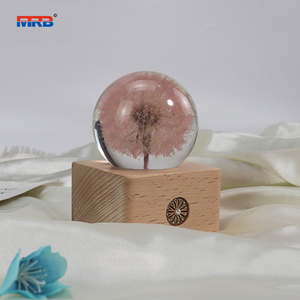 Cadeau de noël pissenlit 3D boule de cristal veilleuse batterie Base <span class=keywords><strong>en</strong></span> <span class=keywords><strong>bois</strong></span> Led lampe d'ambiance pour fleur résine <span class=keywords><strong>globe</strong></span> veilleuse - Product Image 3