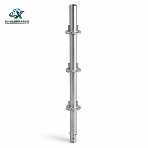 Système d'échafaudage Ringlock OEM, poteau vertical standard 48,3 mm Q355B galvanisé, longueur de 0,5 <span class=keywords><strong>m</strong></span> à 3 <span class=keywords><strong>m</strong></span> - Product Image 1