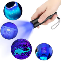 Lampe torche UV 3W 365nm rechargeable USB-C avec filtre noir UV, détecteur de taches sèches d'urine d'animaux