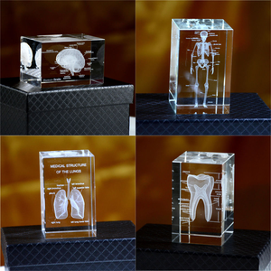 Figura de esqueleto humano 3D, modelo de anatomía, pisapapeles, esqueleto, médico, psicología, regalos de graduación, esqueleto de cristal - Product Image 3