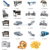 Línea de Producción de Papas Fritas a Pequeña Escala, Máquina para Hacer Papas Fritas