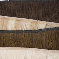 Extensions de cheveux Genius Weft Butterfly Injected XO Hole Russian Remy Human Hair Invisible Seamless Double Drawn