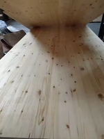 4x8 Knot Pine Wood Timber Plywood CDX Pine Plywood Construction Roofing Floor Panel