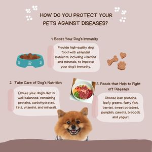 수의학 장비 개 디스템퍼/간염 콤보 항체 신속 검사 키트 - Product Image 3