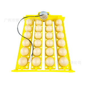 Automatic <b>Egg</b> Incubator 16 24 <b>Eggs</b> ABS Plastic Chicken Farm Laboratory Use With Auto Turning Tray - Product Image 1